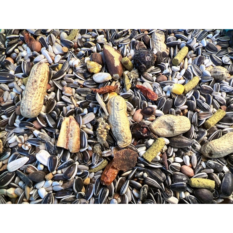 Hạt trộn cao cấp thành phần không có chất tạo màu dành cho vẹt từ xám đến Macaw gói lẻ 1kg