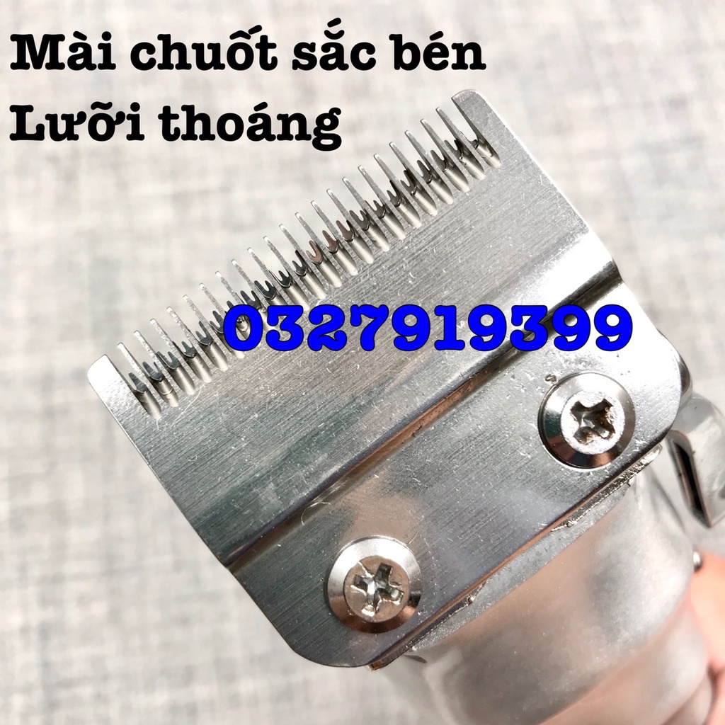 ✅freeship✅ Tông đơ cắt tóc Senior ZSZ F39 - lưỡi kép