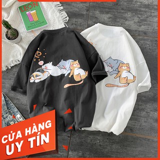 Áo thun tay lỡ cotton 4 mèo nằm