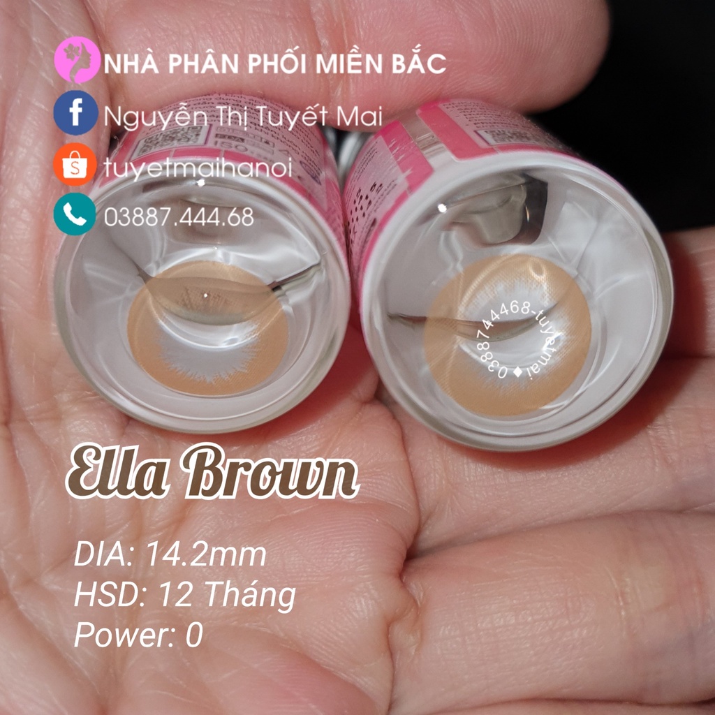 Lens Nâu Tây Ella Brown 14.2mm 0 độ - Kính Áp Tròng Vassen Sexy Me