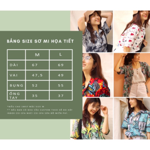 SƠ MI HOẠ TIẾT MÈO NGỐ