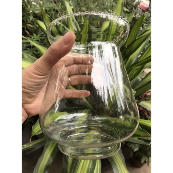 Bình thủy sinh thủy tinh