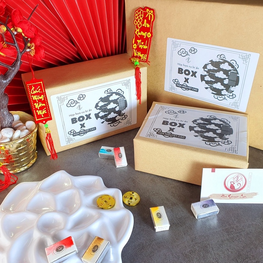 Hộp họa cụ bí ẩn Box X