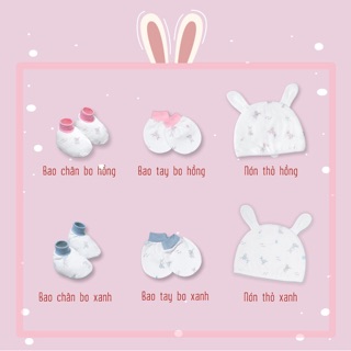 Bao tay chân Miomio bo