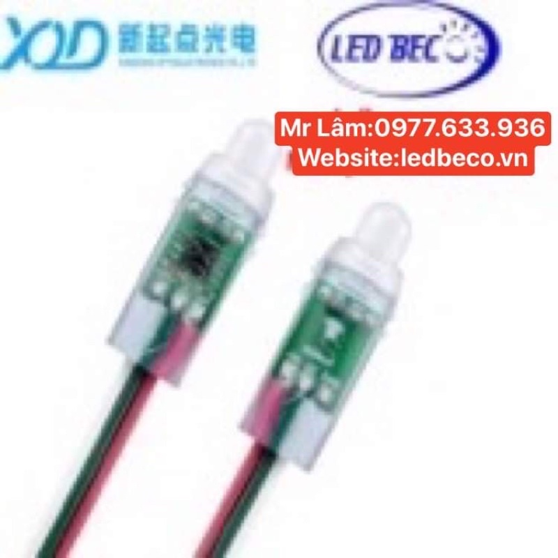 BÓNG LED FULL 1903 XQD