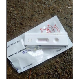 Que thử thai heo chính xác 95%