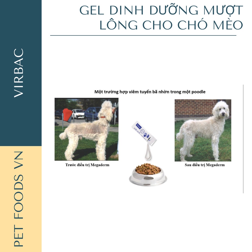 Gel dinh dưỡng mượt lông cho chó mèo VIRBAC Megaderm