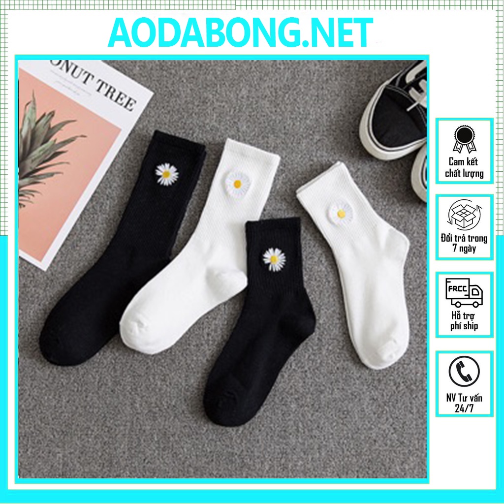 Tất HOA CÚC GD, vớ dệt kim họa tiết hoa cúc, thời trang, nam nữ, hàng cao cấp chuẩn cotton 100%. Nike, Drew, Champion.