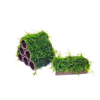 Đồ Chơi Hồ Tép - Đồ Trang Trí Hồ Cá Tép, Thuỷ Sinh | Tượng Gốm Trang Trí