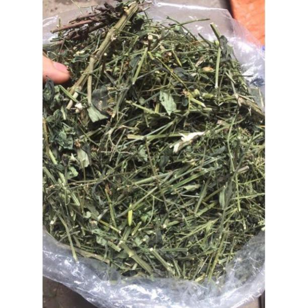 Xuyên Tâm Liên - Lá tắm thuỷ đậu mề đay cho bé 1 kg