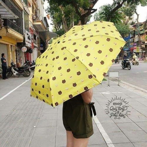 Big Sale: Ô Gấu BROWN Chống Tia UV