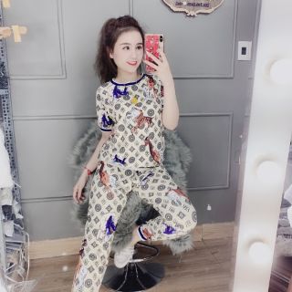 Bộ thun lạnh 3d hàng qc