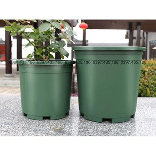 Chậu nhựa ABS siêu bền 7gl