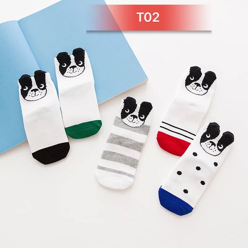 (MẪU 2022) Set 5 Đôi tất cotton hàn quốc cổ cao siêu mềm ôm chân cho bé