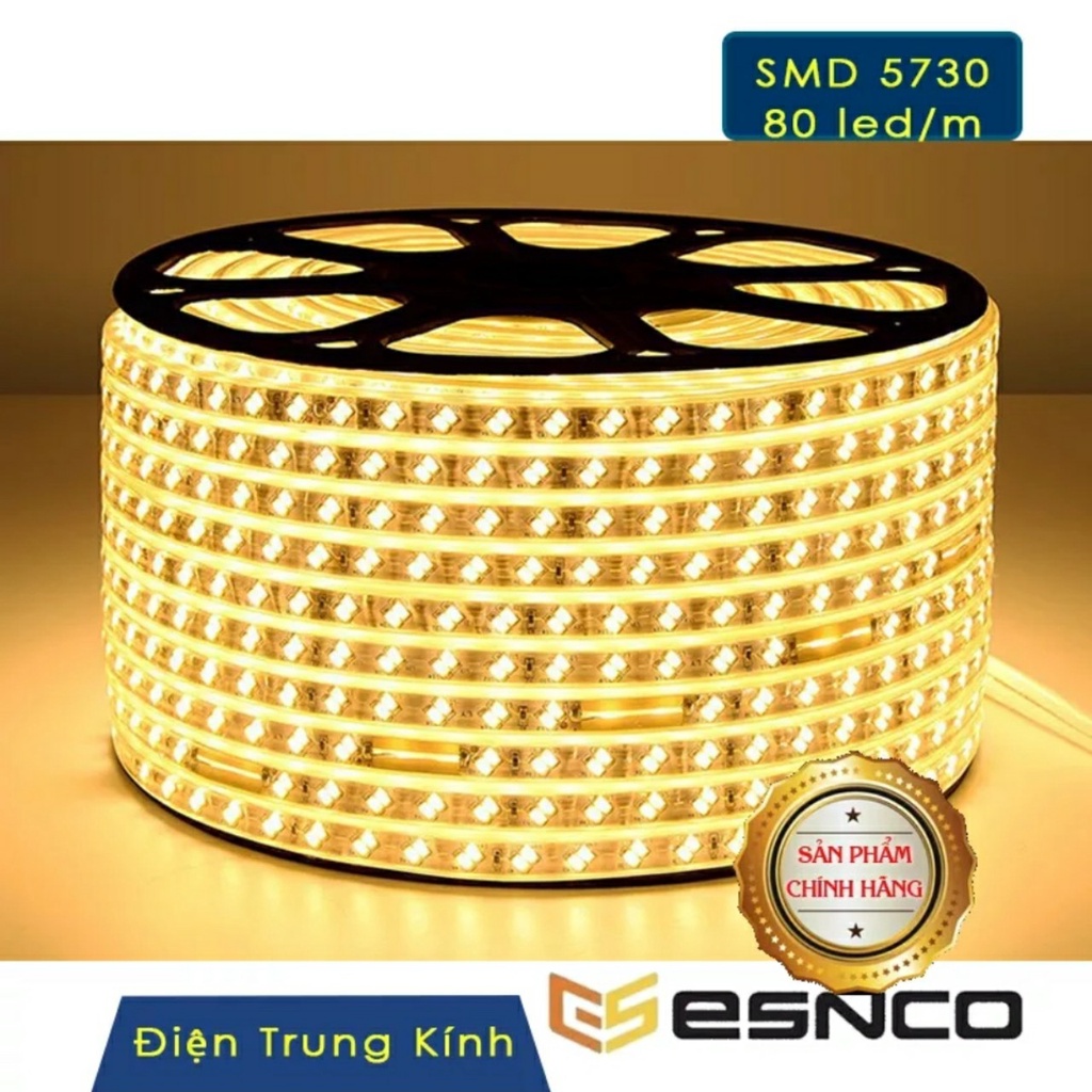 Đèn led dây 220V 2835 100m/cuộn siêu sáng thương hiệu ESNCO dùng trang trí ngoài trời  hắt ttrần thạch cao