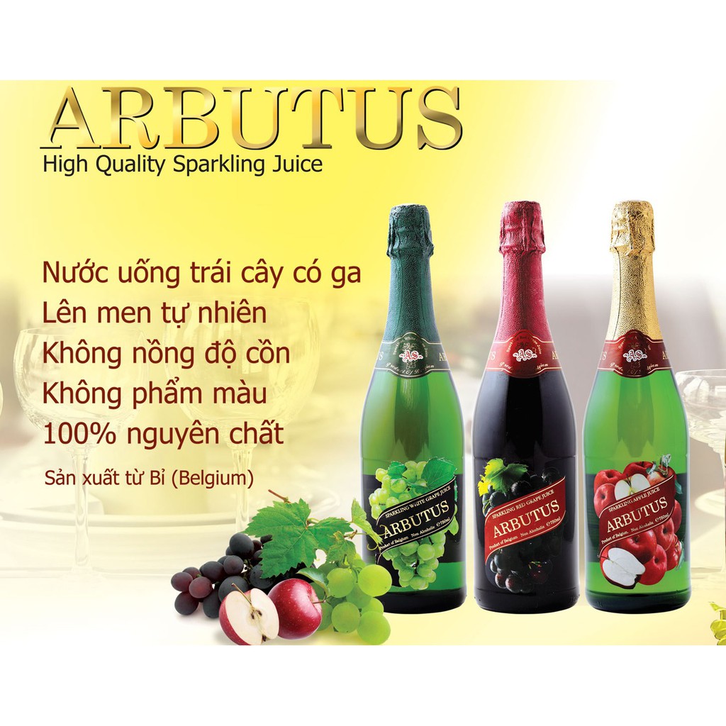 NƯỚC TRÁI CÂY CÓ GAS VỊ  ARBUTUS 750ML