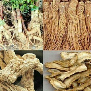 Sỉ lẻ sâm quy 100g - 200g - 300g