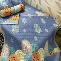 sét chăn ga gối poly