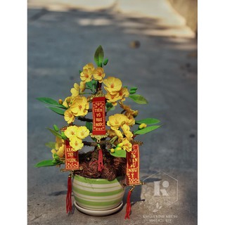 Chậu hoa trang trí handmade