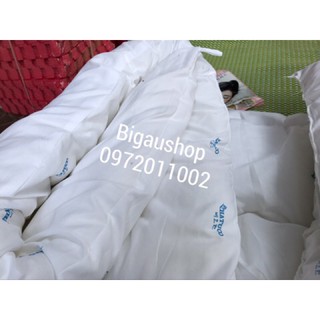 Ruột Chăn siêu nhẹ cao cấp HATUCO
