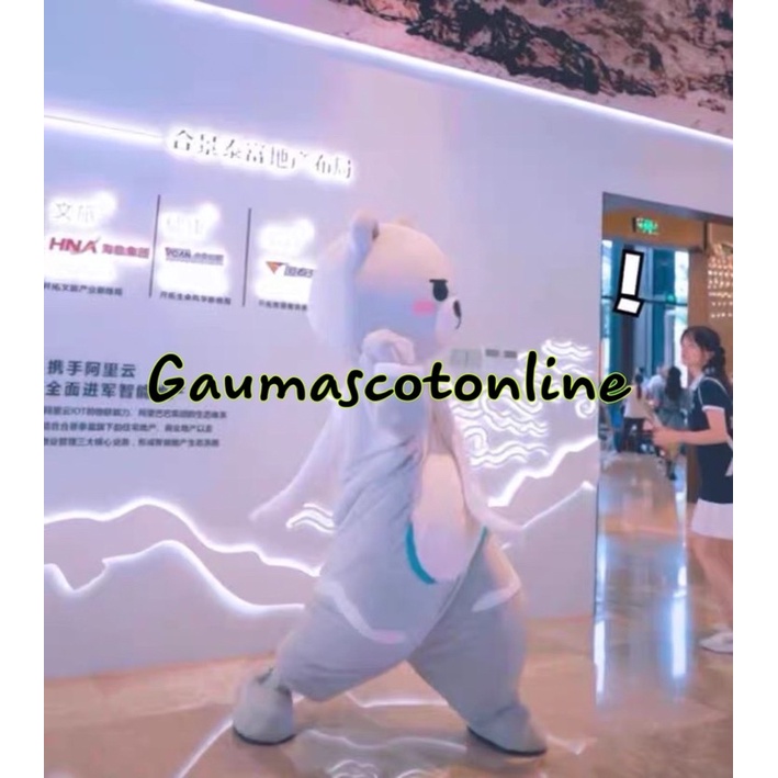 MASCOT GẤU XÁM KHĂN TRĂNG SIÊU HOT TIKTOK