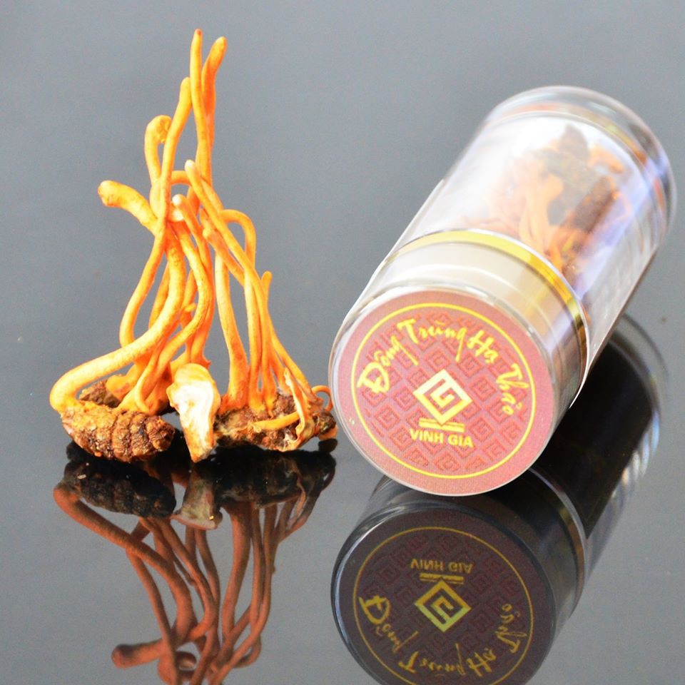 ✅ĐÔNG TRÙNG HẠ THẢO QUẢ THỂ KHÔ VINH GIA - Hộp 10 lọ