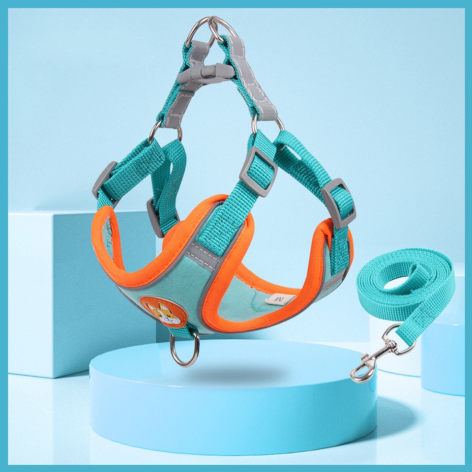 Dây dắt thú cưng đi dạo bằng nylon phản quang có thể điều chỉnh