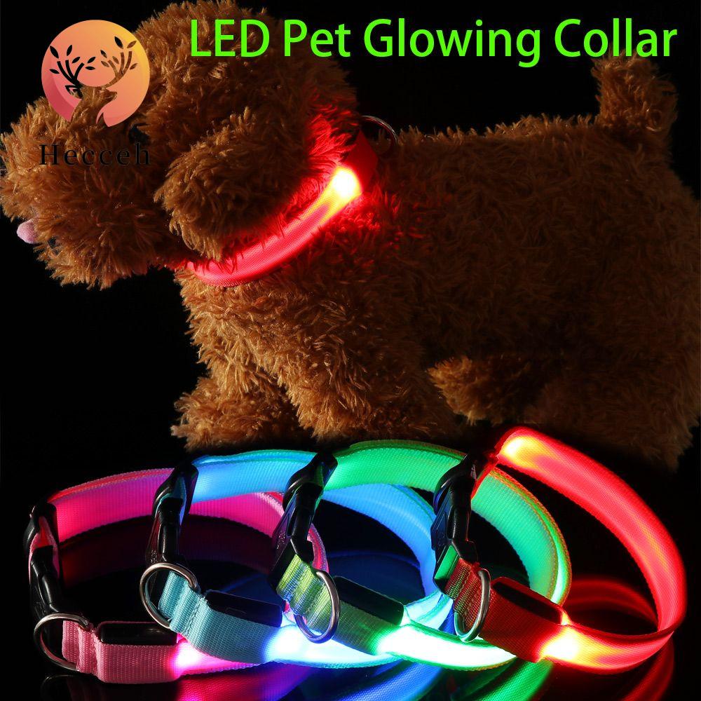 (MớI) Vòng Cổ GắN ĐèN LED Ban Đêm Cho Thú Cưng