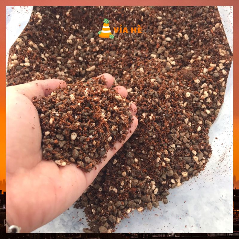 Đất trồng sen đá kiểng lá xương rồng túi 1kg 0.5kg trồng cây trong nhà VIAHE tơi xốp thoát nước tốt