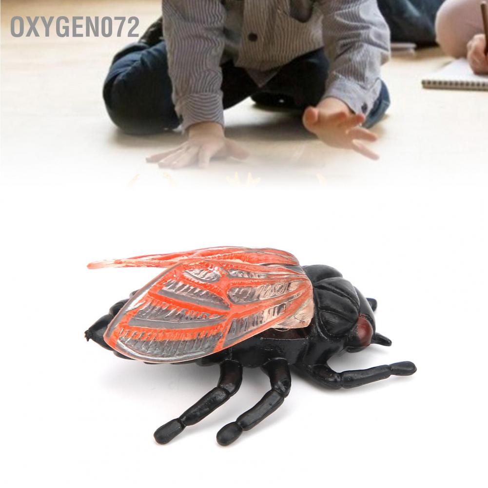 Oxygen072 Cicada Insect Model Highly Simulation Children Kids Ornament Decoration