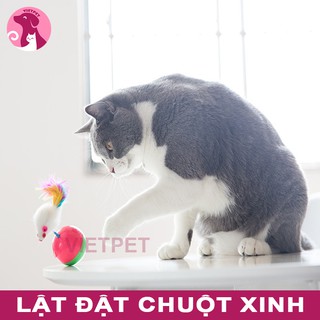 Đồ chơi cho mèo - Chuột lật đật dễ thương