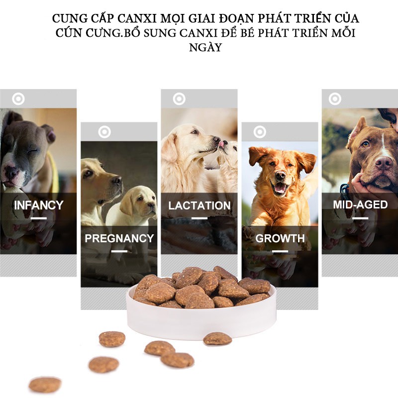 HỘP CANXI CHO CHÓ VỊ CAM CHZK CANXI LACTATE VÀ VITAMIN A,D3 HẤP THỤ NHANH CHẮC XƯƠNG CHO CÚN CƯNG-CSP64
