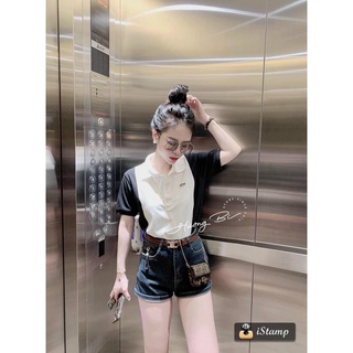 ÁO THUN POLO NỮ CHẤT VẢI POLY CÁ SẤU [ TNT Shop Bigsize 60kg - 90kg ]