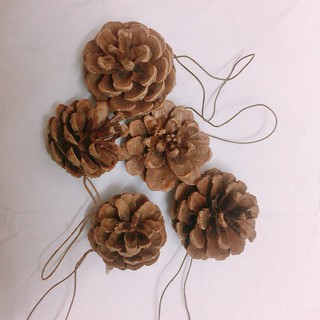 Bộ 05 trái thông khô 4-6cm trang trí giáng sinh, trang trí cây thông noel, đồ handmade phong cách vintage DIY