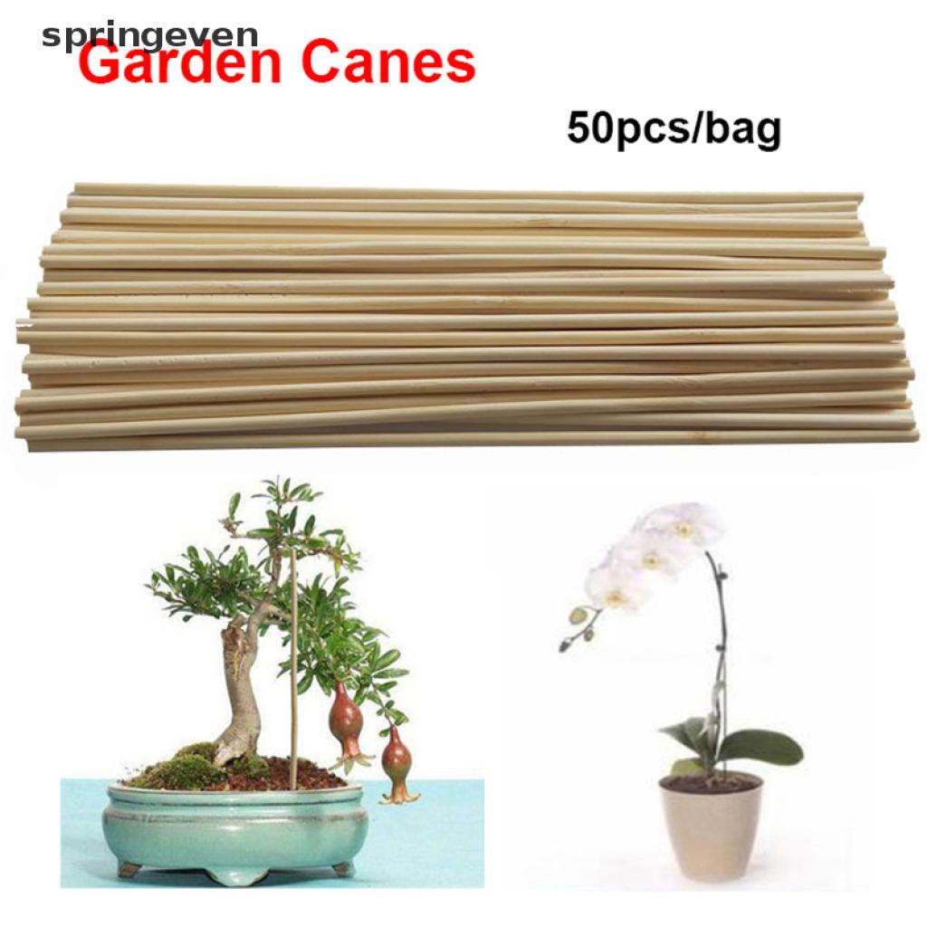 Bộ 50 que gỗ tre để dựng cây trồng đứng tiện dụng