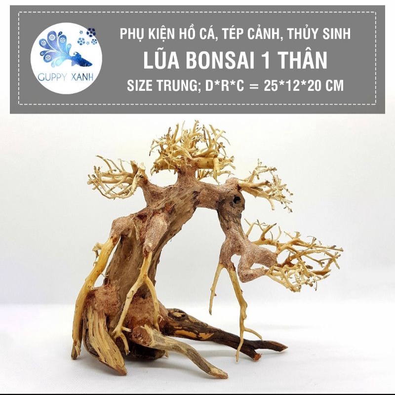 lũa bonsai cho hồ thủy sinh - có nhiều mẫu và dang cho việc set up hồ thủy sinh