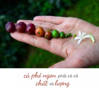 500gr Cà Phê Nguyên Chất rang mộc Thơm Ngon Đậm Đà