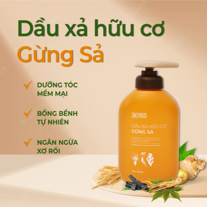 Dầu Gội Xả Hữu Cơ Gừng Sả Cocayhoala- Ngăn dầu bết tóc và giảm gàu ngứa Dung Tích 500g