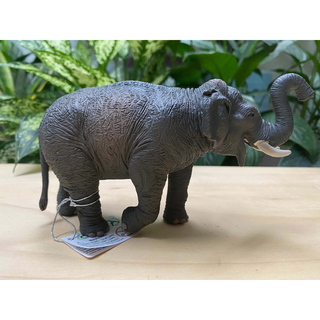 Mô hình động vật: Voi Châu Á