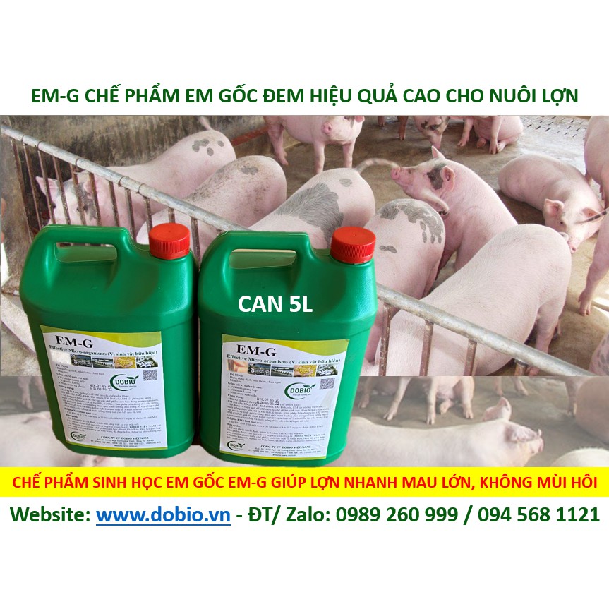 EM Gốc G Can 5 lít, Chế Phẩm Vi Sinh EM Gốc, EM1, Địa Chỉ Cung Cấp Mua Bán Chế Phẩm Vi Sinh EM Gốc