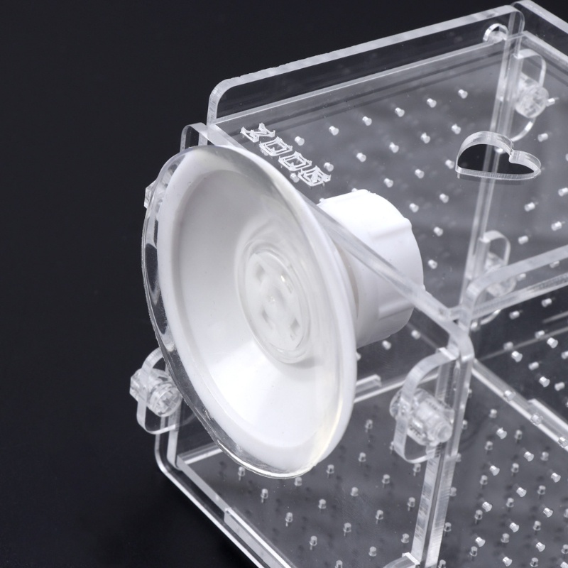Hộp Nuôi Cá Bằng Acrylic Trong Suốt Có Cốc Hút Cho Trẻ Sơ Sinh
