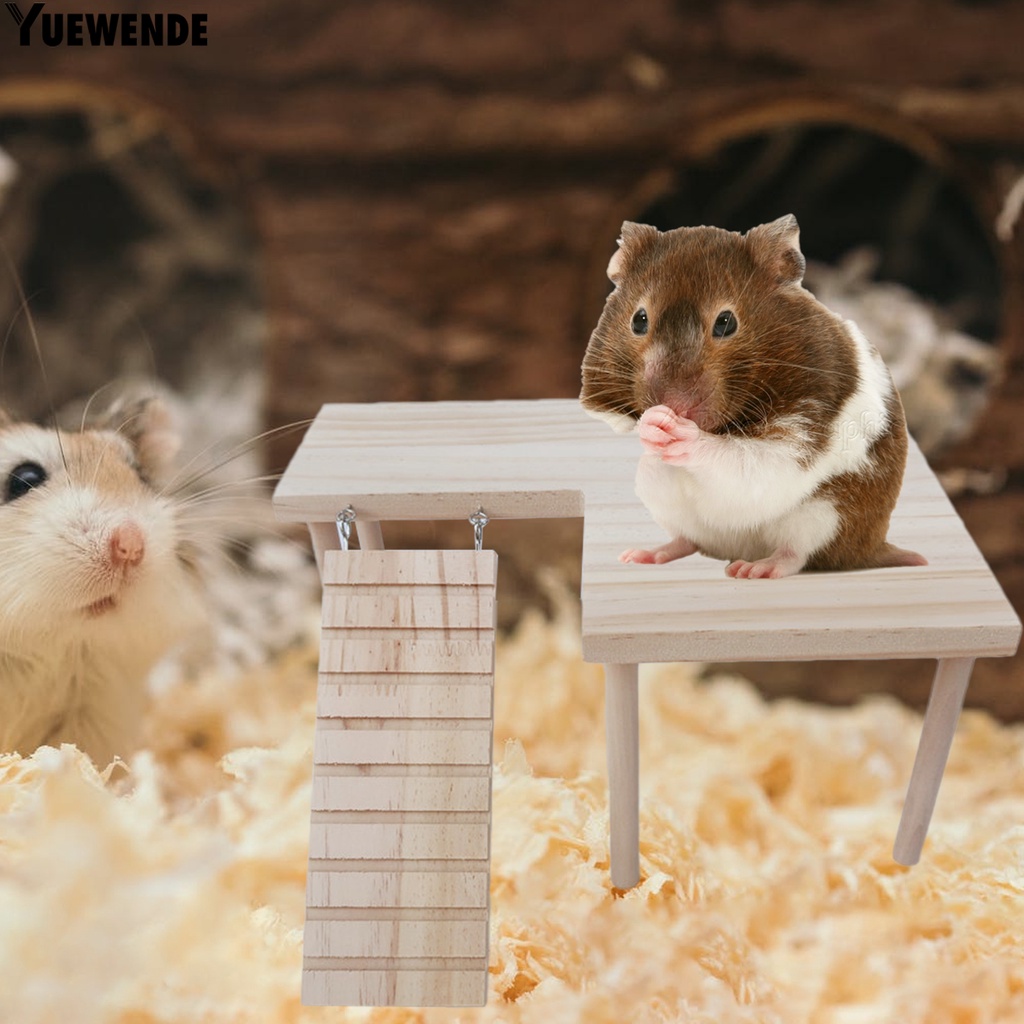 Giá đỡ đứng bằng gỗ tự nhiên cho chuột hamster