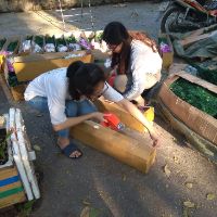 Cây thông 1m50 + phụ kiện