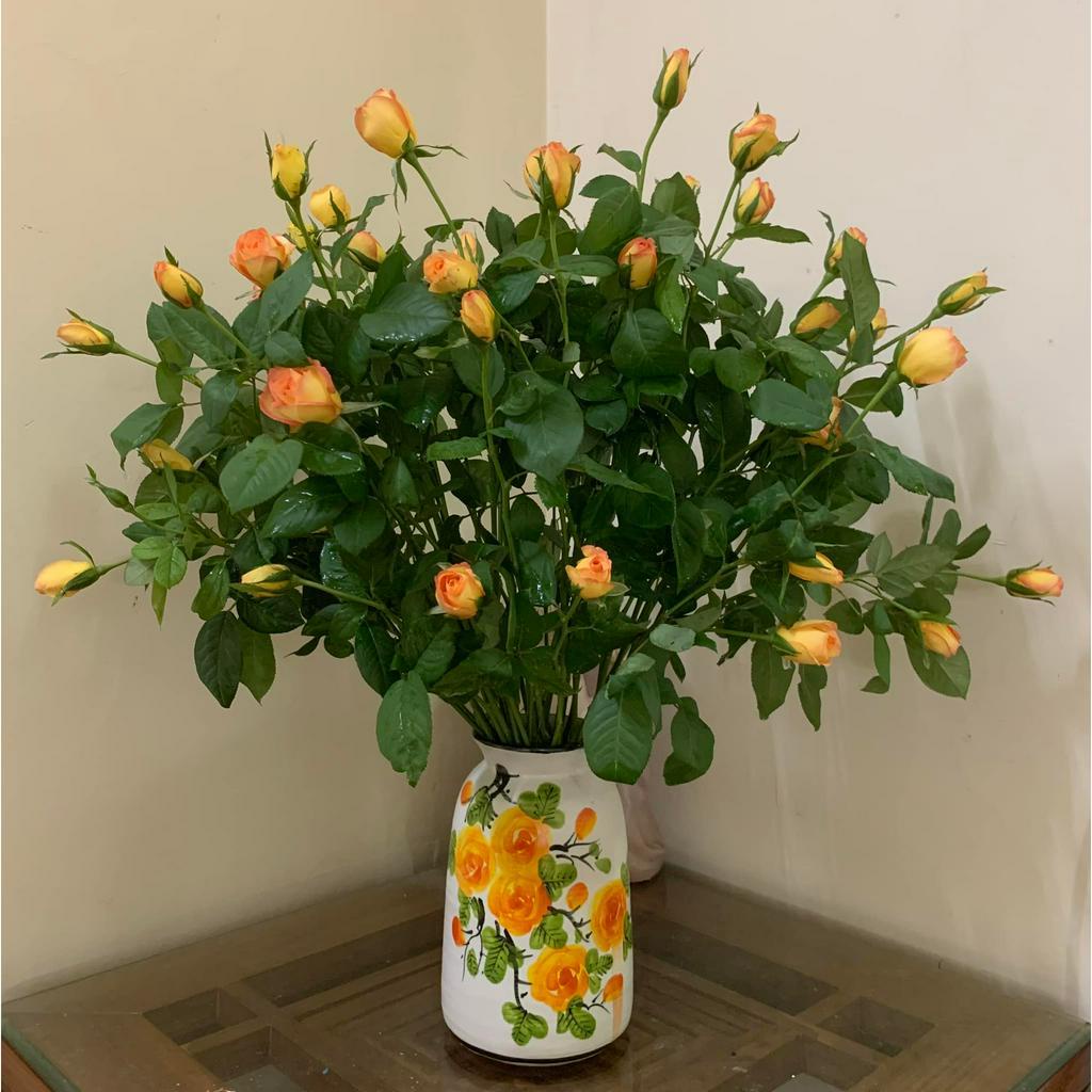 Set 3 Bình Hoa Để Bàn Dáng Nhỏ Vẽ Tay Lọ Hoa Decor Nhiều Mẫu Gốm Sứ Bát Tràng - Gốm Bích