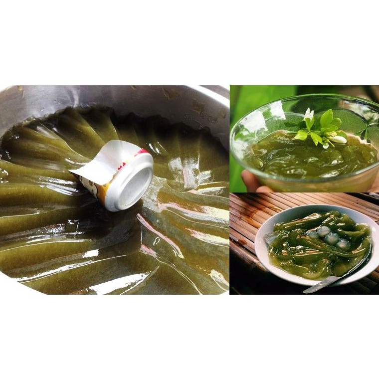 1kg Bột Lá Găng Làm Thạch Xanh ( tặng kèm túi lọc + ống vani + hoa nhài khô)