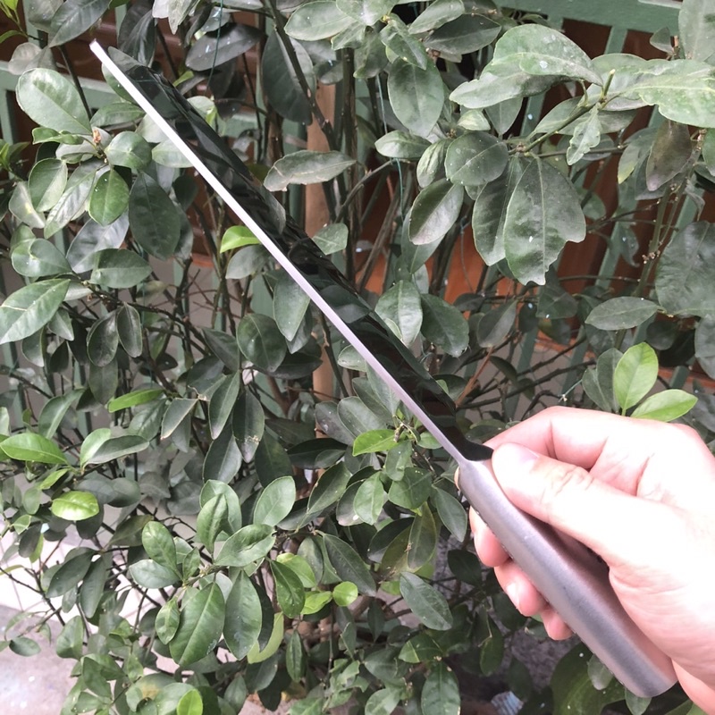Dao chặt xương chính hãng global, sắc bén, liền khối, dài 30cm, dày 3.5li, không rỉ