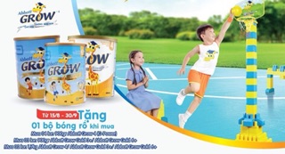 Bộ bóng rổ