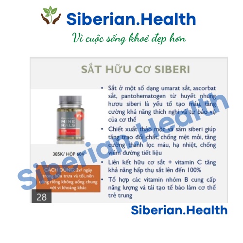 Essential Minerals Iron Siberian, hỗ trợ tạo máu và chuyển hóa năng lượng, giảm mệt mỏi - Hộp 60v