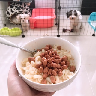 Thịt Hầm Cho Chó Mèo