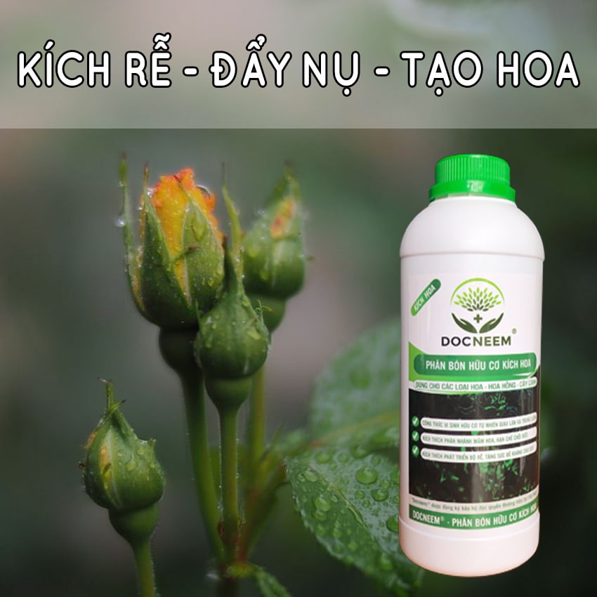 Phân bón hữu cơ kích hoa cho hoa hồng, hoa lan, cây cảnh làm vườn, dung tích 1 lít, chính hãng DOCNEEM